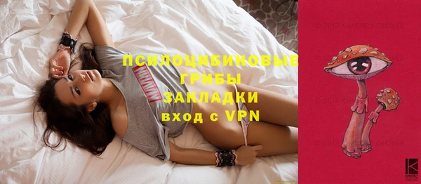 PSILOCYBIN Балабаново