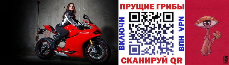 Галлюциногенные грибы Psilocybe Купить закладки Сарапул